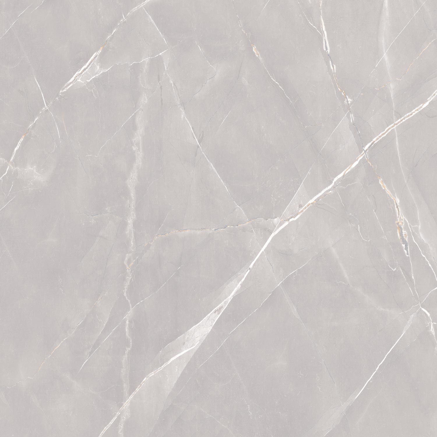 Emporio Golden Veins Carving Matt Porcelain Tile 60x120cm