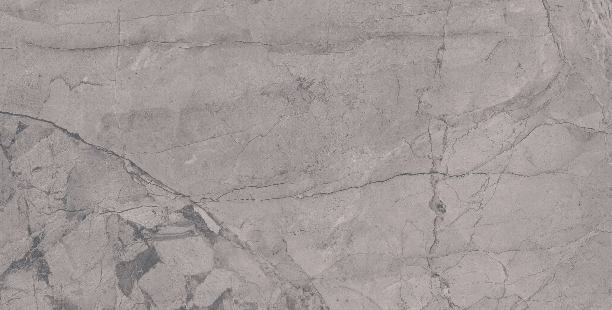 Emporio Veins Grey Metallic Carving Matt Porcelain Tile 60x120cm
