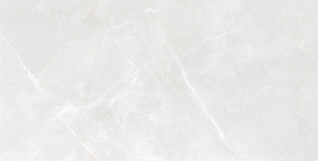 Emporio Dappled Grey Carving Matt Porcelain Tile 60x120cm